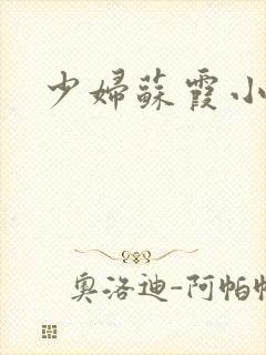 少妇苏霞小说