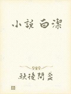 小说 白洁