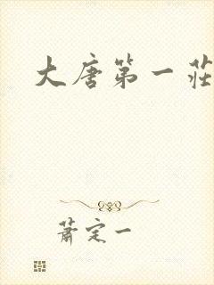 大唐第一庄