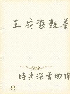 王府惩教养日常