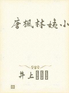 唐枫林姨小说