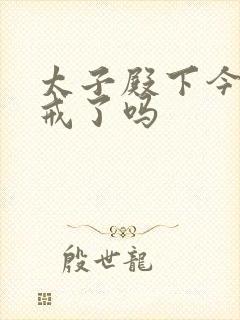 太子殿下今天破戒了吗封面