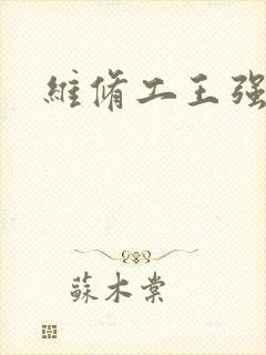 维修工王强张婷封面