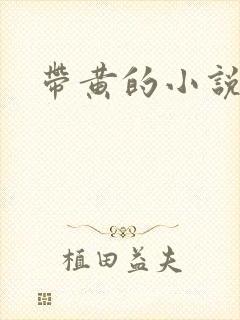 带黄的小说