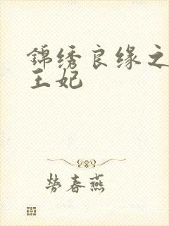 锦绣良缘之北地王妃