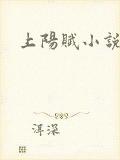 上阳赋小说