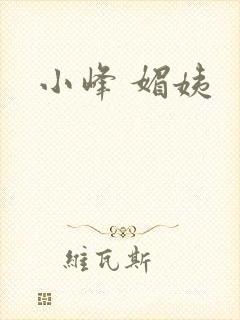 小峰 媚姨封面