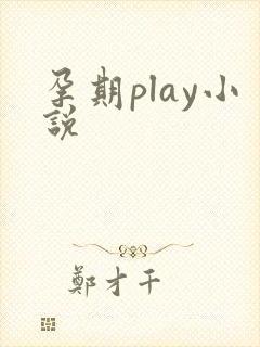 孕期play小说