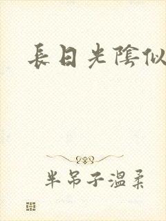 长日光阴似箭封面