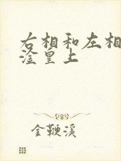 右相和左相一起淦皇上