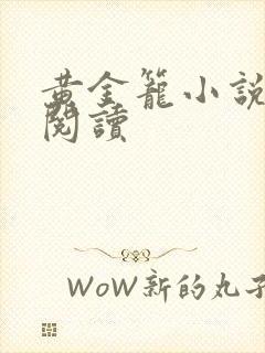 黄金笼小说免费阅读封面