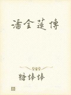 潘金莲传封面