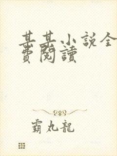 某某小说全文免费阅读