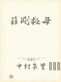 薛刚救母