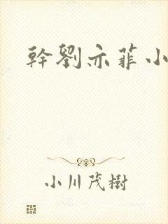干刘亦菲小说
