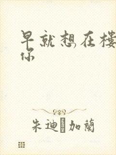 早就想在楼梯要你