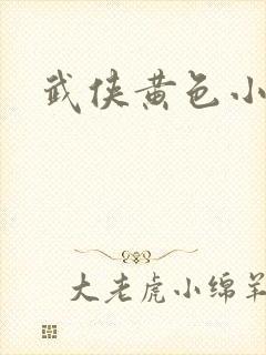 武侠黄色小说