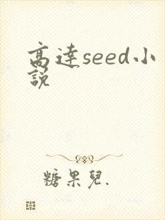 高达seed小说封面