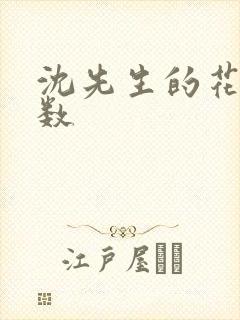 沈先生的花式调数