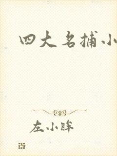 四大名捕小说