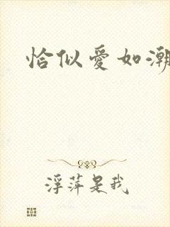 恰似爱如潮封面