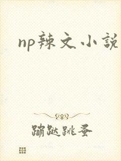 np辣文小说