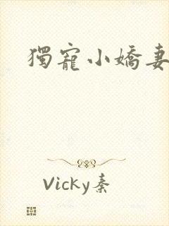 独宠小娇妻封面