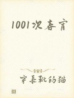1001次春宵封面