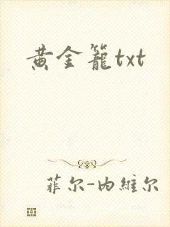 黄金笼txt封面
