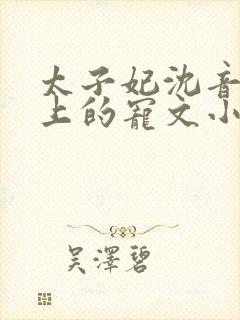 太子妃沈音和皇上的宠文小说封面