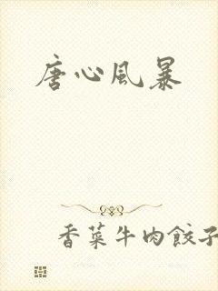 唐心风暴