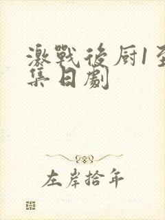 激战后厨1至5集日剧封面