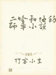 二哈和他的白猫师尊小说封面