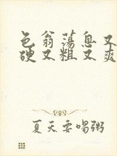色翁荡息又大又硬又粗又爽