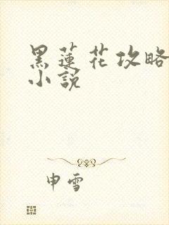 黑莲花攻略手册小说封面