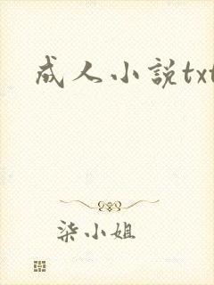 成人小说txt封面