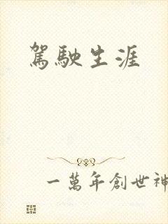 驾驶生涯
