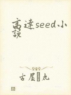 高达seed小说封面