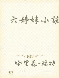六姊妹小说