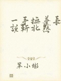 一手抚养长大小说靳北然