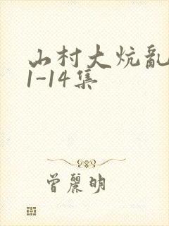 山村大炕乱肉续1-14集封面