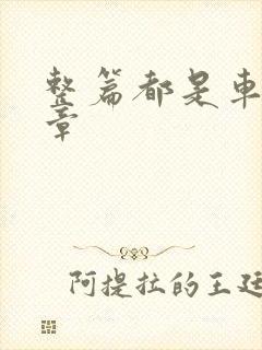 整篇都是车的文章