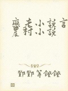恋老小说言情网农村小说