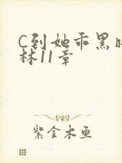 C到她乖黑暗森林11章