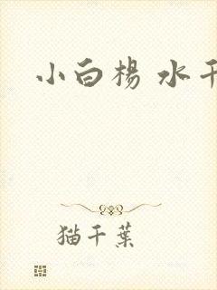 小白杨 水千丞