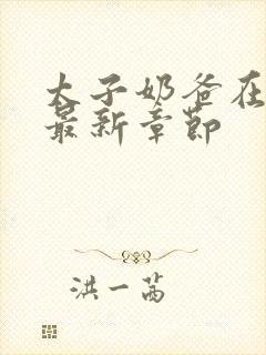 太子奶爸在花都最新章节封面