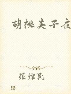 胡桃夹子夜未眠封面