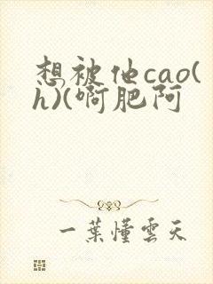 想被他cao(h)(啊肥阿