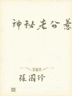 神秘老公惹不起封面