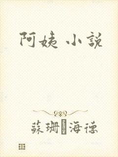阿姨 小说